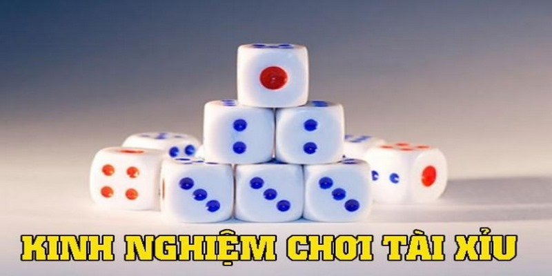 Kinh nghiệm, mẹo chơi tài xỉu online hay cho tân binh